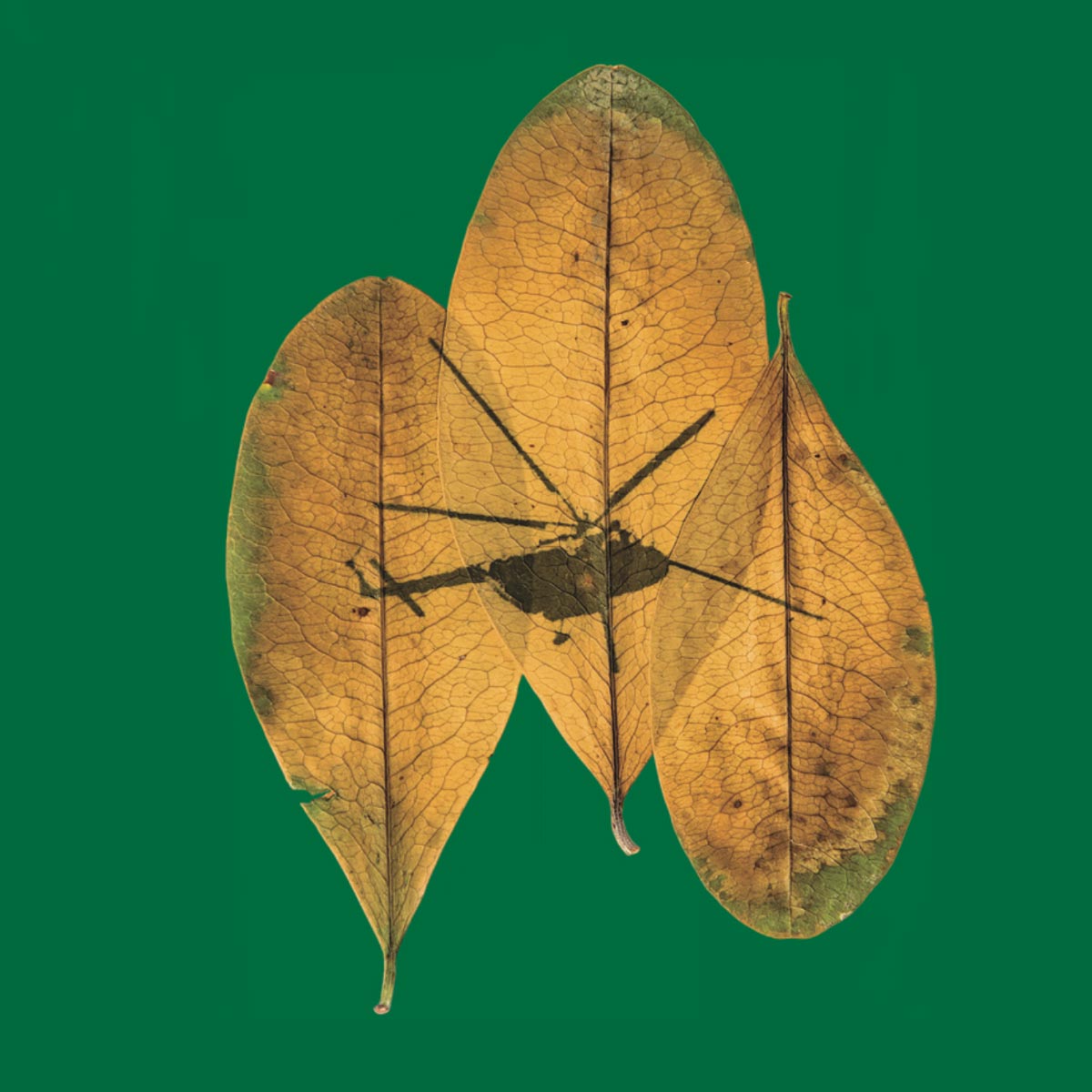 DPV. La guerra fallida