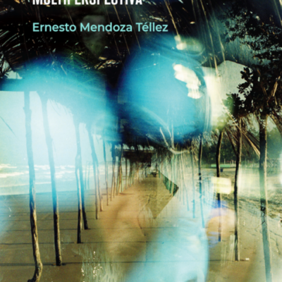 Multiperspectiva