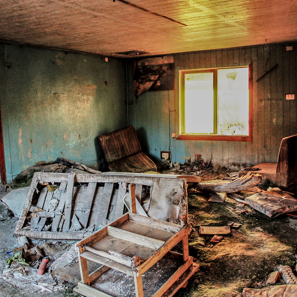 Alejandra Rojas, Sin título, de la serie "Chaitén”, 2016.