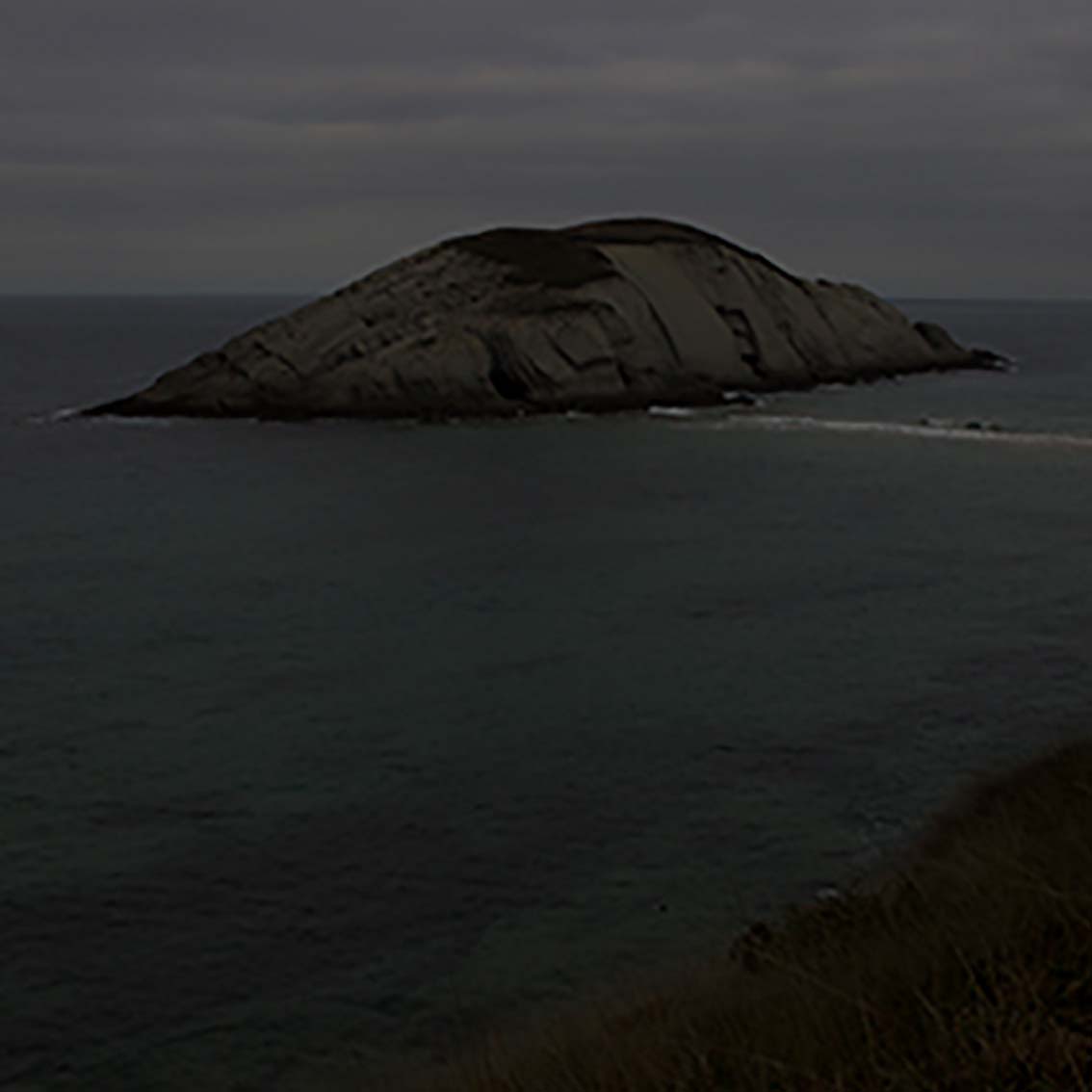 Ros Boisier