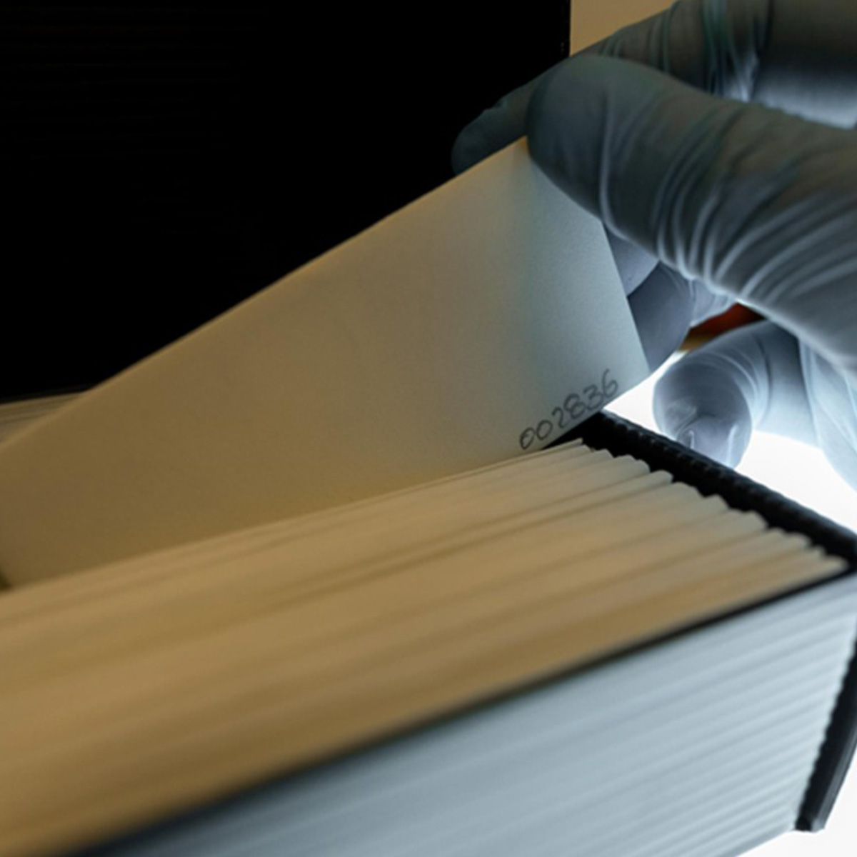 El Repositorio del Centro de la Imagen. Colecciones en línea es una plataforma que tiene como objetivo contribuir a la misión de este espacio en la preservación, difusión y reflexión sobre la imagen a partir de las colecciones fotográficas, acervos documentales y bibliográficos que resguarda la institución.