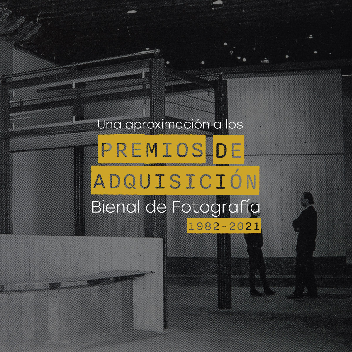 Premios de Adquisición. Bienal de Fotografía