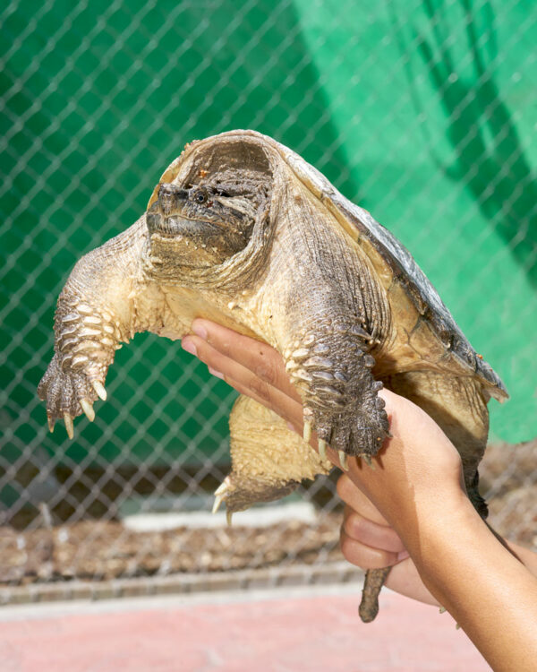 Fernando Montiel Klint