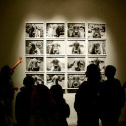 Visita Guiada por la muestra de la XX Bienal de Fotografía 2023