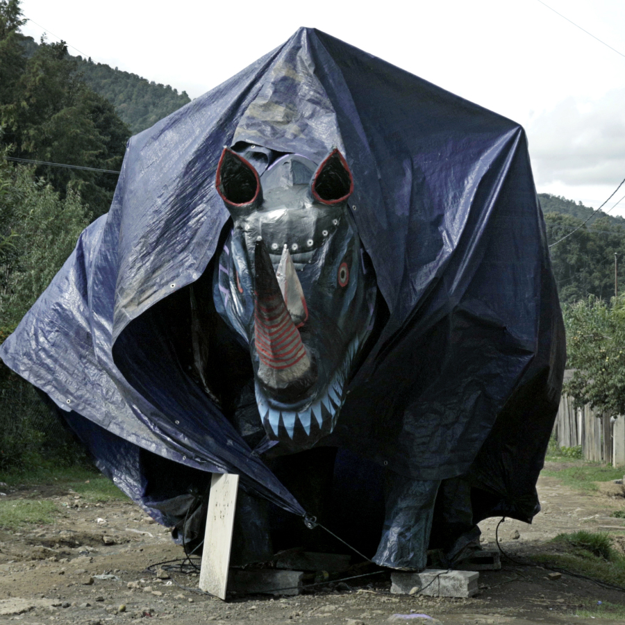 Adela Goldbard, 2019