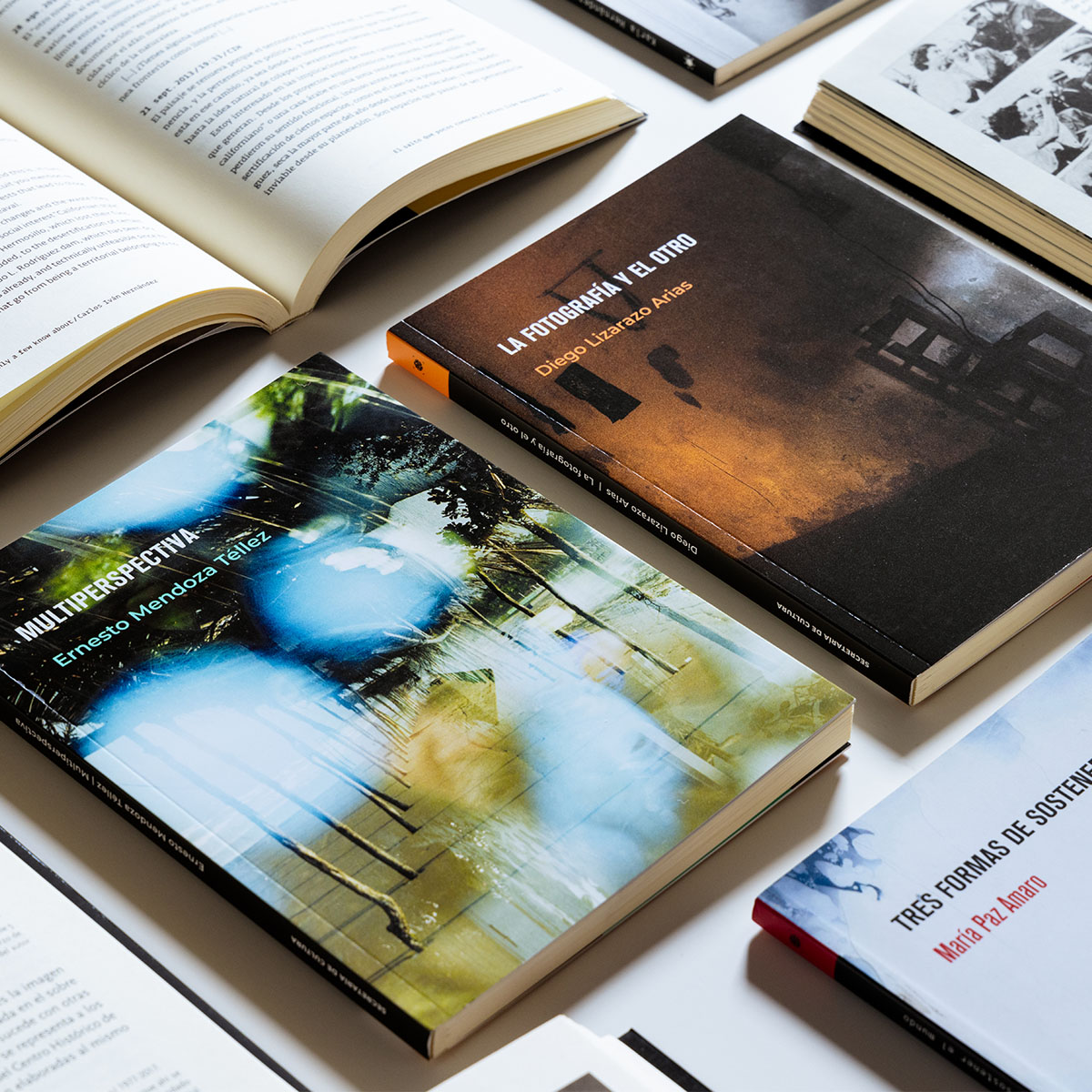 Coleccion de ensayos -Publicaciones Editorial CI-004