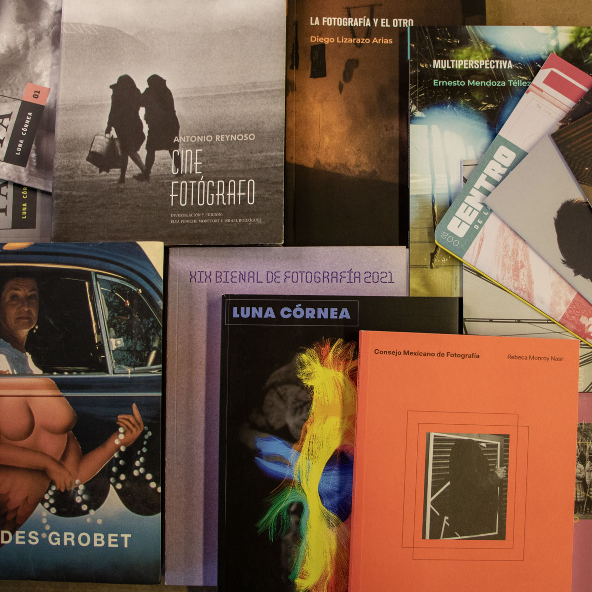 El programa editorial del Centro de la Imagen se ha ocupado de generar publicaciones especializadas para impulsar el análisis y la crítica alrededor de la cultura fotográfica