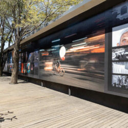 Visita guiada por la muestra La mirada esencial