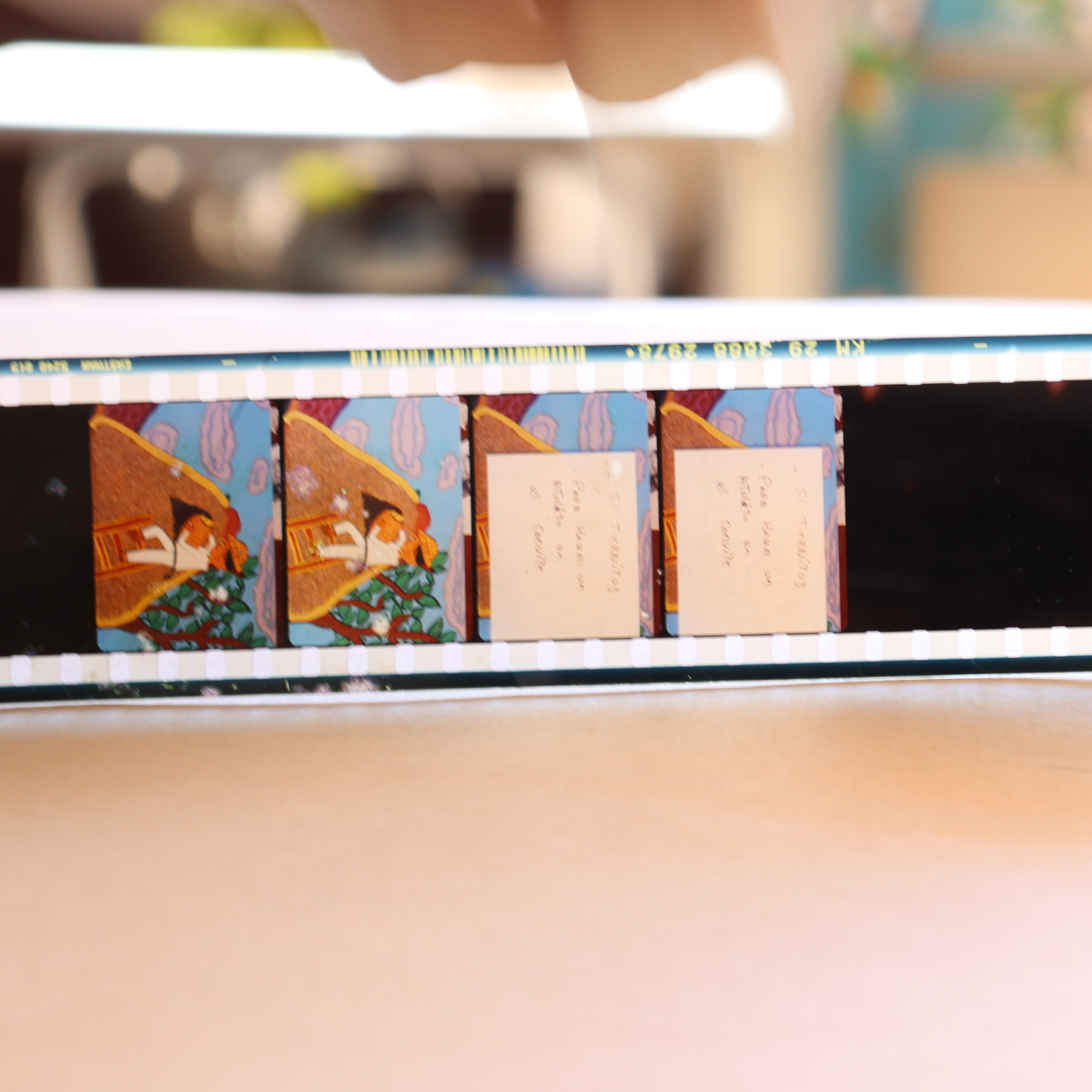 El archivo y cine de animación de Dominique Jonard