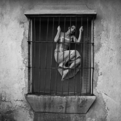 La fuerza decisiva de la imagen: una mirada desde suelo mexicano