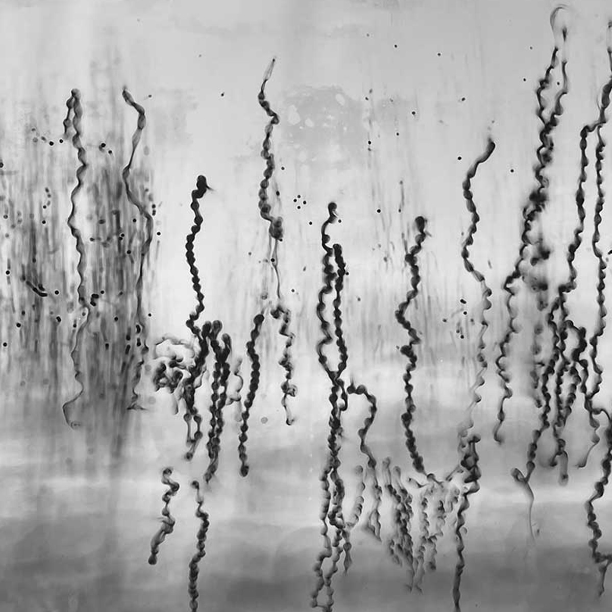 Margot Kalach Hanono