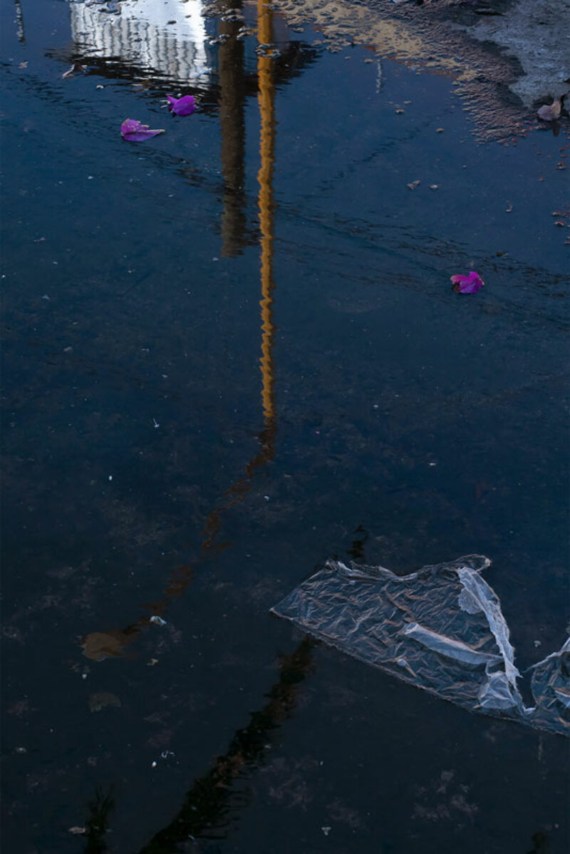 Judith Andrade Judith Andrade