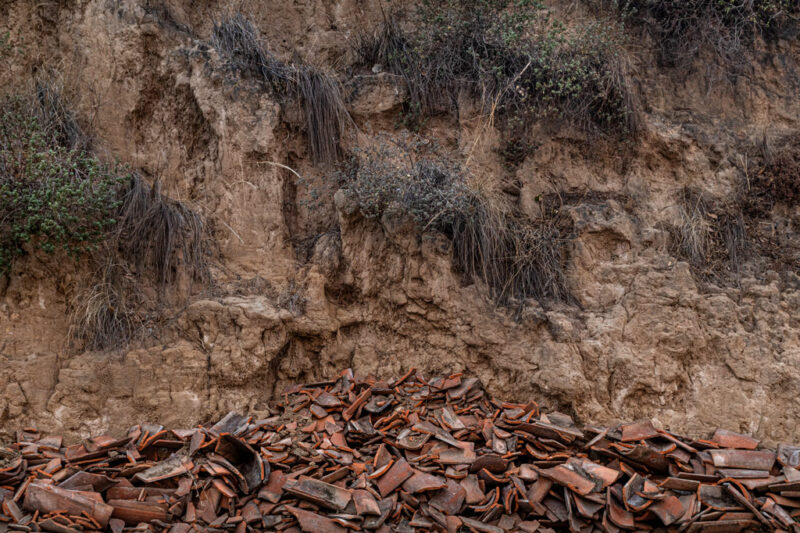 Rodolfo Suarez Rodolfo Suarez