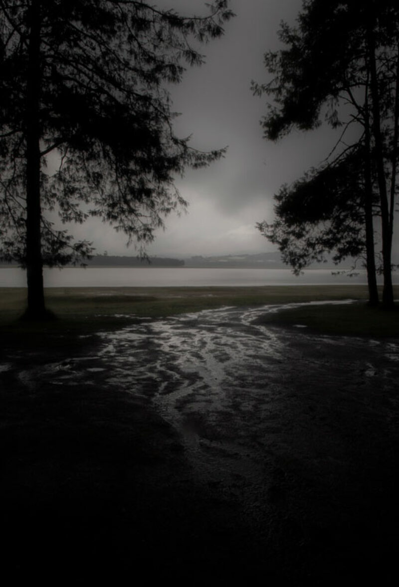 Sara Meneses Sara Meneses