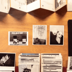 Catalogar la memoria. Las postales como documentos históricos, visuales y afectivos