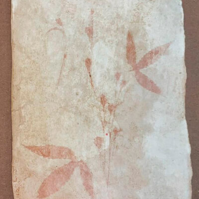 Antiotipias americanas